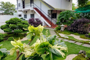 Read more about the article Why Inpatient Rehab Works Best